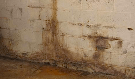 Basement Waterproofing project image from Reliable Basement and Drain