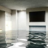 Basement Water Damage